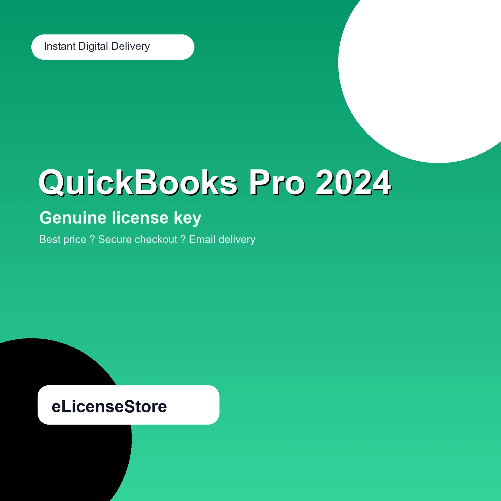 QuickBooks Desktop Pro 2024
