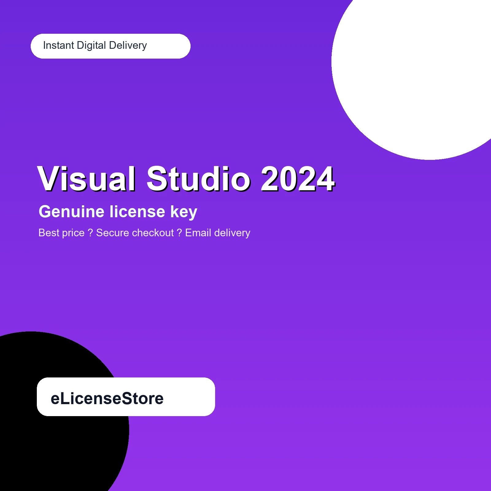 Visual Studio 2024 Professional
